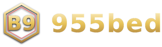 955bed logo